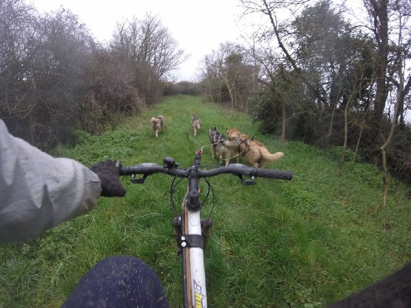 sortie en attelage